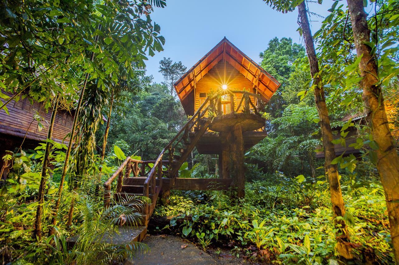 Art'S Riverview Lodge Khao Sok National Park Exterior photo